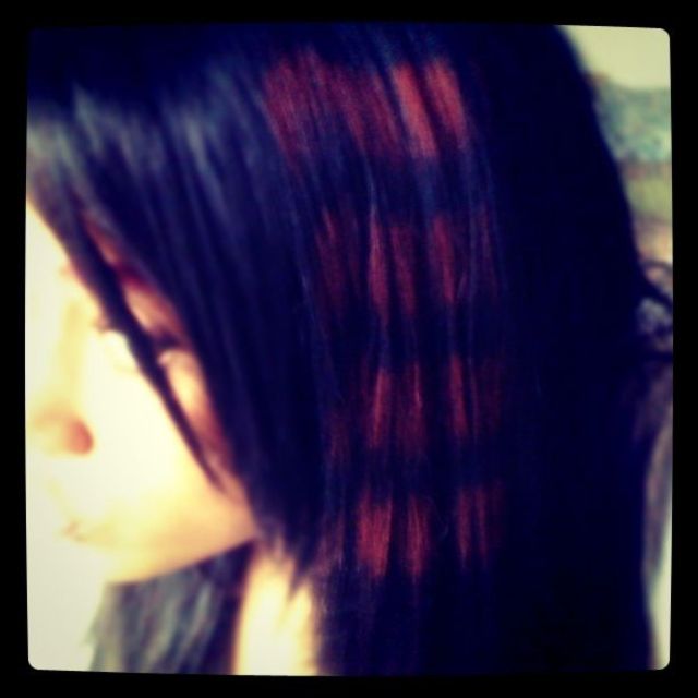 my zebra hair