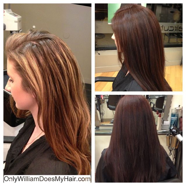 onlywilliamdoesmyhair 
