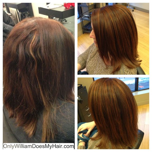 onlywilliamdoesmyhair 