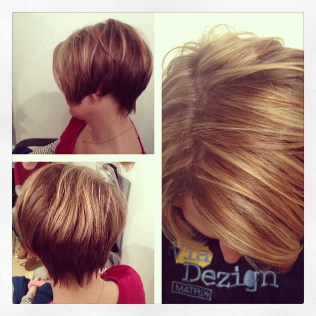 organic color systems no ammonia vegan color 