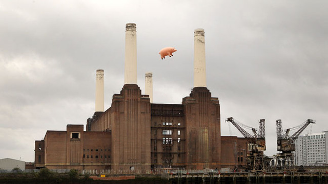 Flying Pig Recreates Pink Floyd Album Cover