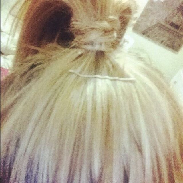 pony tail