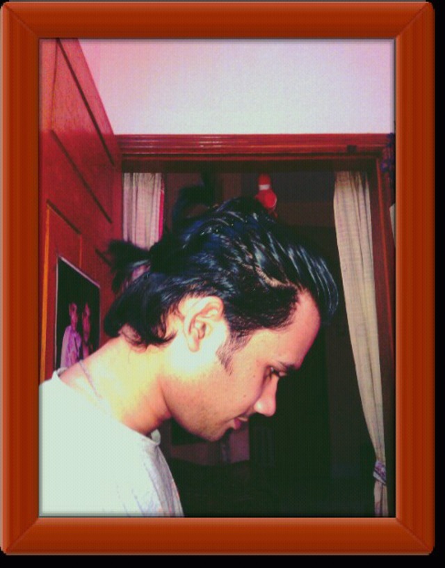 pony
