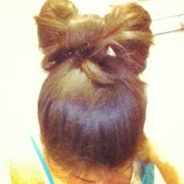 pretty bow