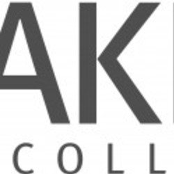 Re sized rakis%20logo ava