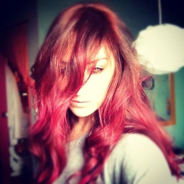 red foxy