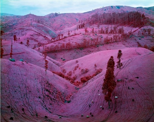 richard-mosse-infra-series-1-600x473