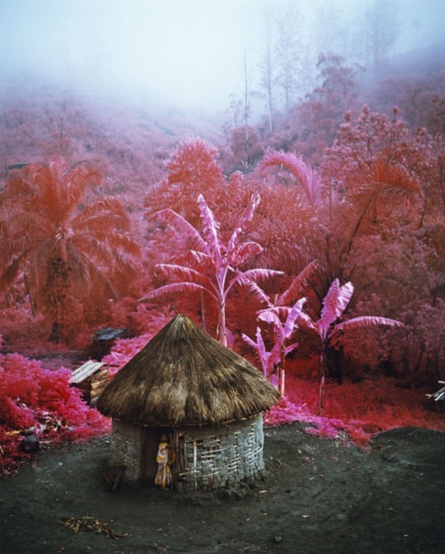 richard-mosse-infra-series-1b-600x747