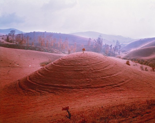 richard-mosse-infra-series-5-600x475