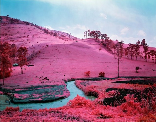 richard-mosse-infra-series-600x472