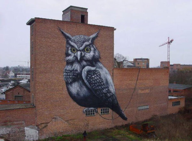 roa