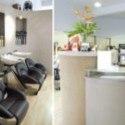 Re sized salon harrow 7208 ava