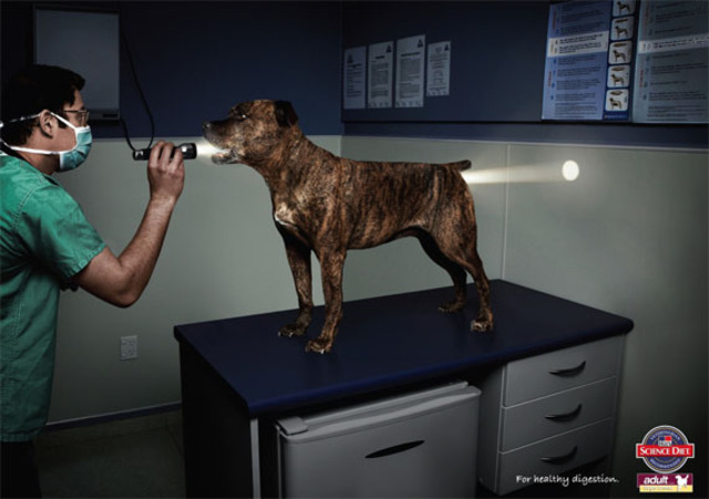 science-diet-dog-food-fluffer-creative-unique-advertisements