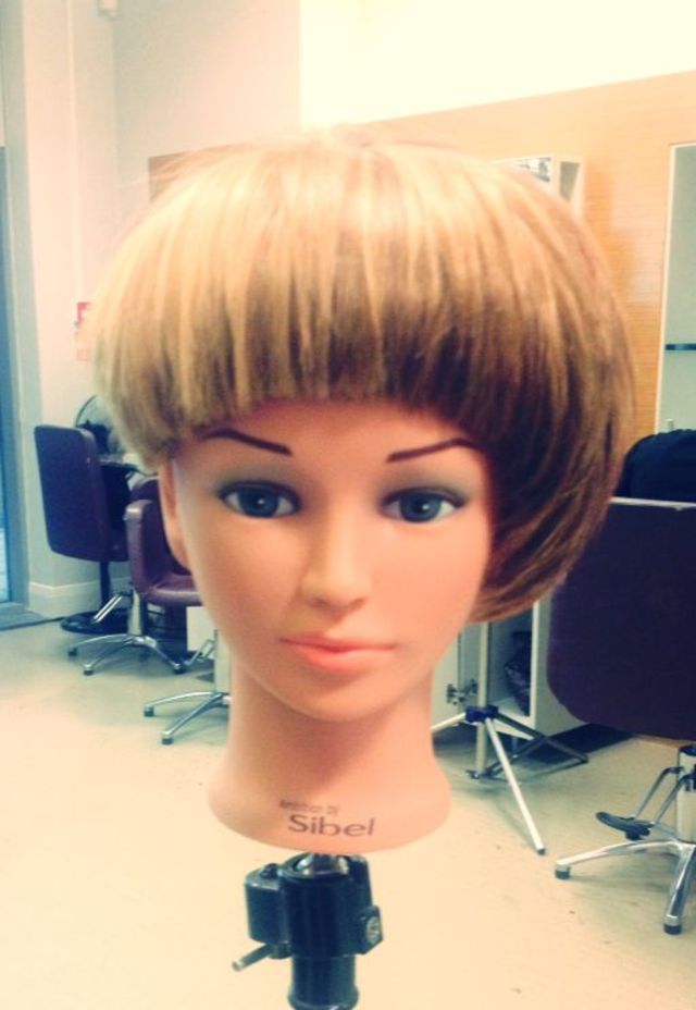 show me on a dolly