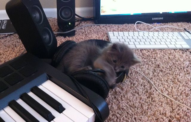 sleepy time