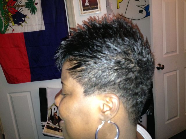 smooth hawk
