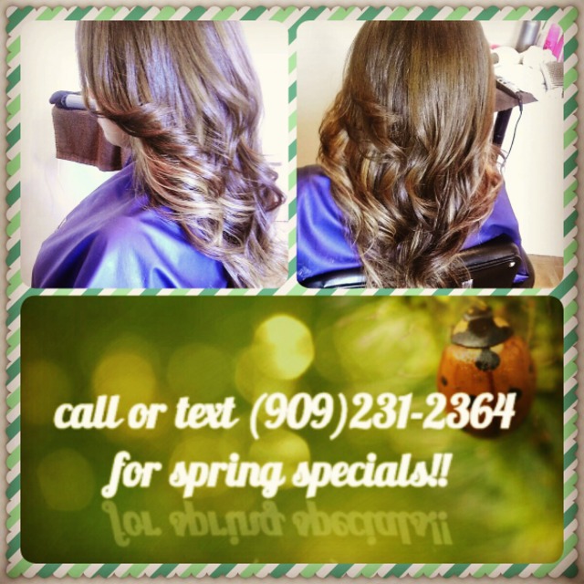 spring specials