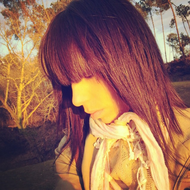 sunlight