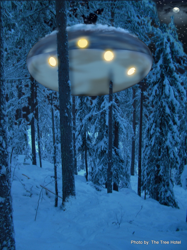 treehotel_ufo_montage_01-1