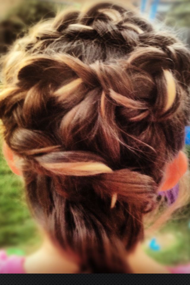 twisted plait
