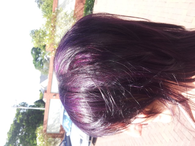 violet by eddie