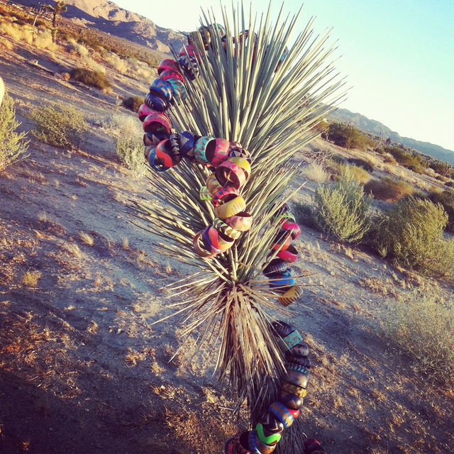 voz joshua tree