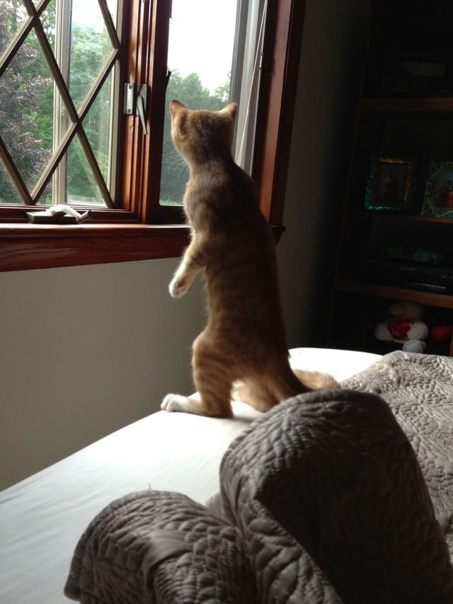 who's there?!?  Mommy is there!