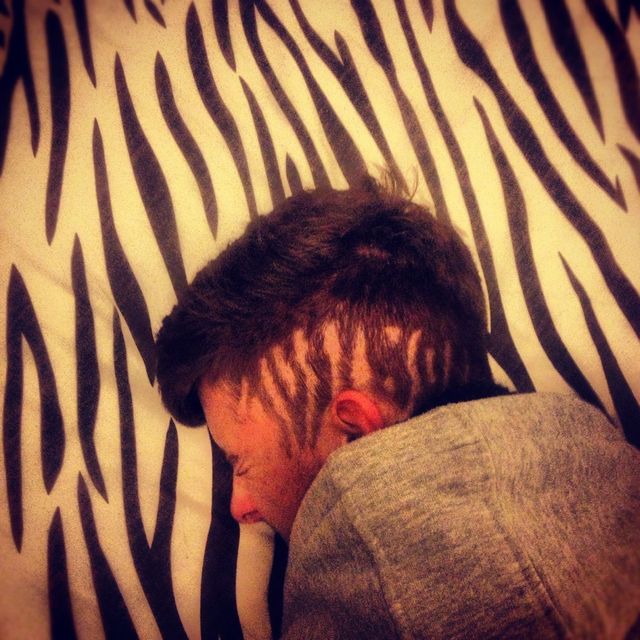 zebra hair