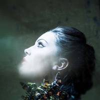 Thumb 06e7aca2e37a4820c811 10670072 919003004793888 3376105381289296503 n