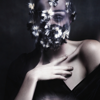 Thumb 114ea1abe8cd3685f3cd cdv photo 006