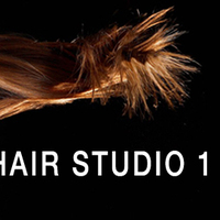 Thumb 1f7e6ed6609f63f33c14 fb salon cover page