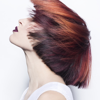 Thumb 7fae20aa2290fdb99d4a f82c4895ed7a25d8bb06 final haircolor3