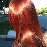 Thumb bright%20copper 1357877696