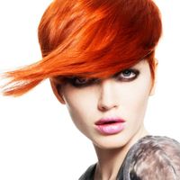 Thumb copper%20inspiration%20 1345927353