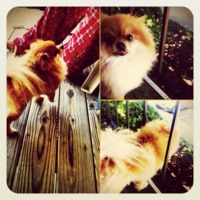 Thumb house%20mascot 1336448548