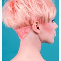 Thumb pink%20 1366963180