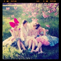 Thumb rene%20walrus 1337719743