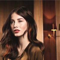 Thumb e13bcd981757a3de457a lift and color   copper brown