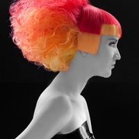 Thumb e45fb607148e92574ea4 2011 red yellow curly web size