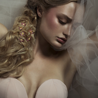 Thumb fe87ef3335dce17eb047 67ebaebf dd8c 4cdd 841a 3c10bb15c489