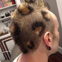 Thumb leopard%20mohawk%20 1349151130