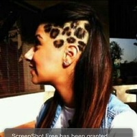 Thumb leopard 1350605193