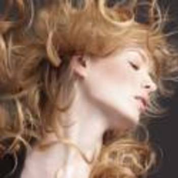 sager french salon