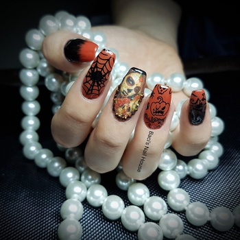 Baci's Nail House