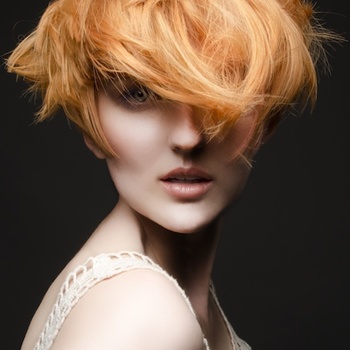 Lunatic Fringe Salon