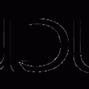 THE LUDUS
