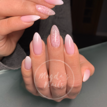 Magnailz