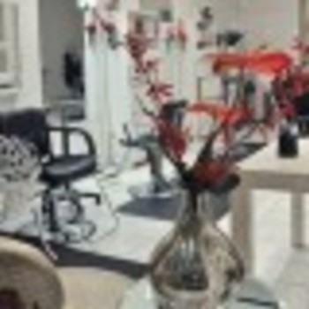 sanuk studio