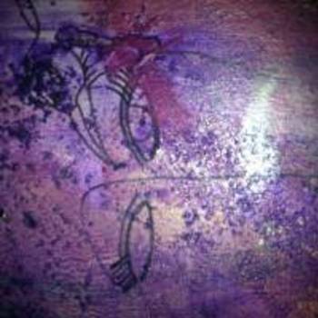 robin stiles stilesbuckhead