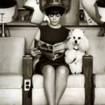 Jessie Leslie jessie.leslie.hairstylist